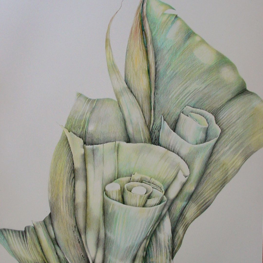 Katrin Bachem-Schindler Katrin Bachem-Schindler